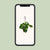 Philodendron Scandens Brasil - ↕35cm - Ø15cm